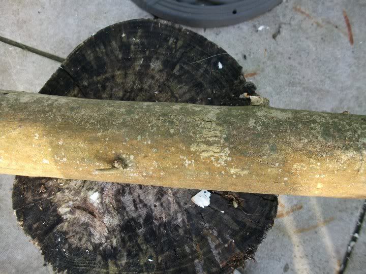 Hand Carved Axe Helve Bushcraft USA Forums